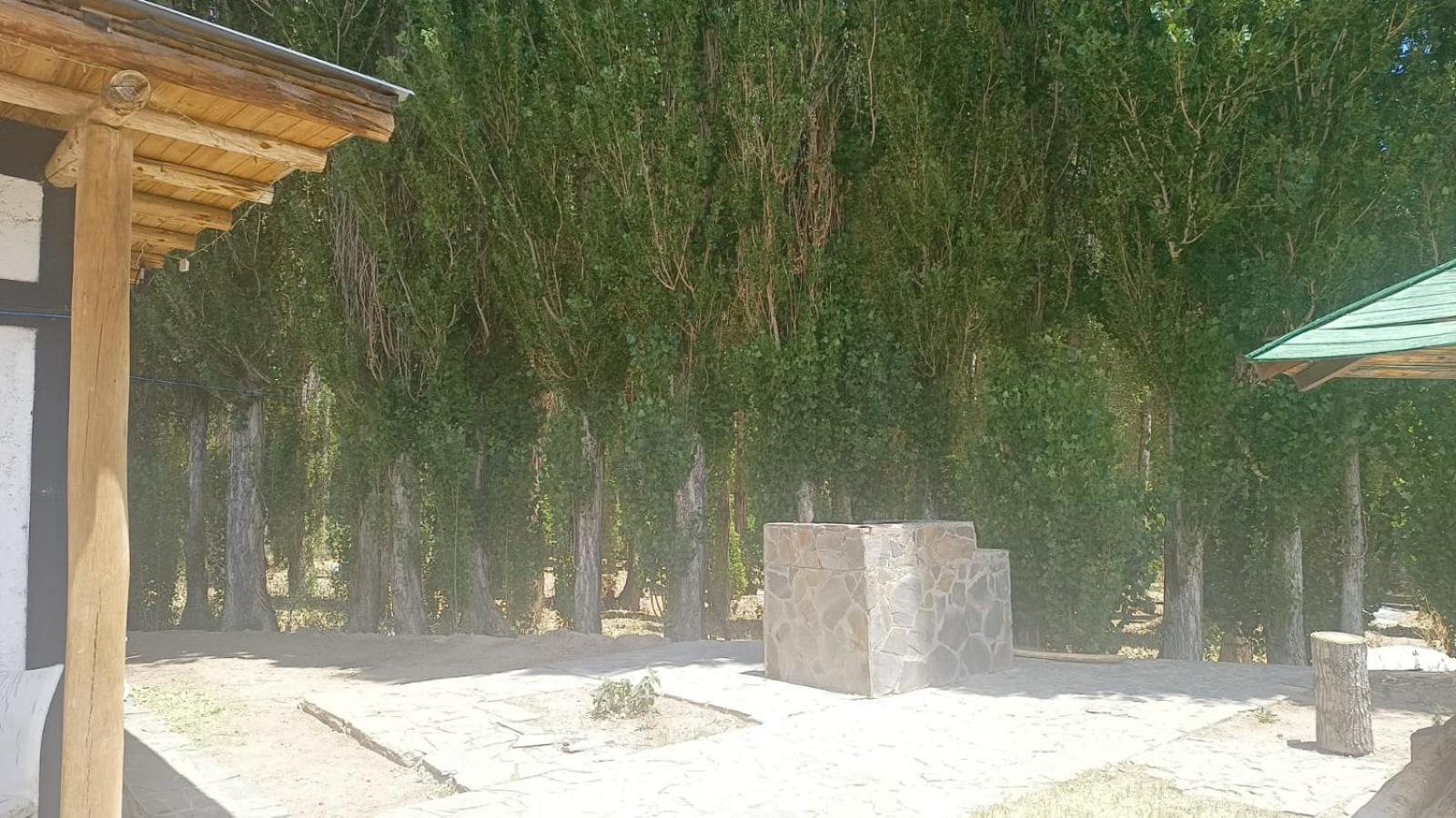 Cabanas De Los Andes Uspallata Dış mekan fotoğraf