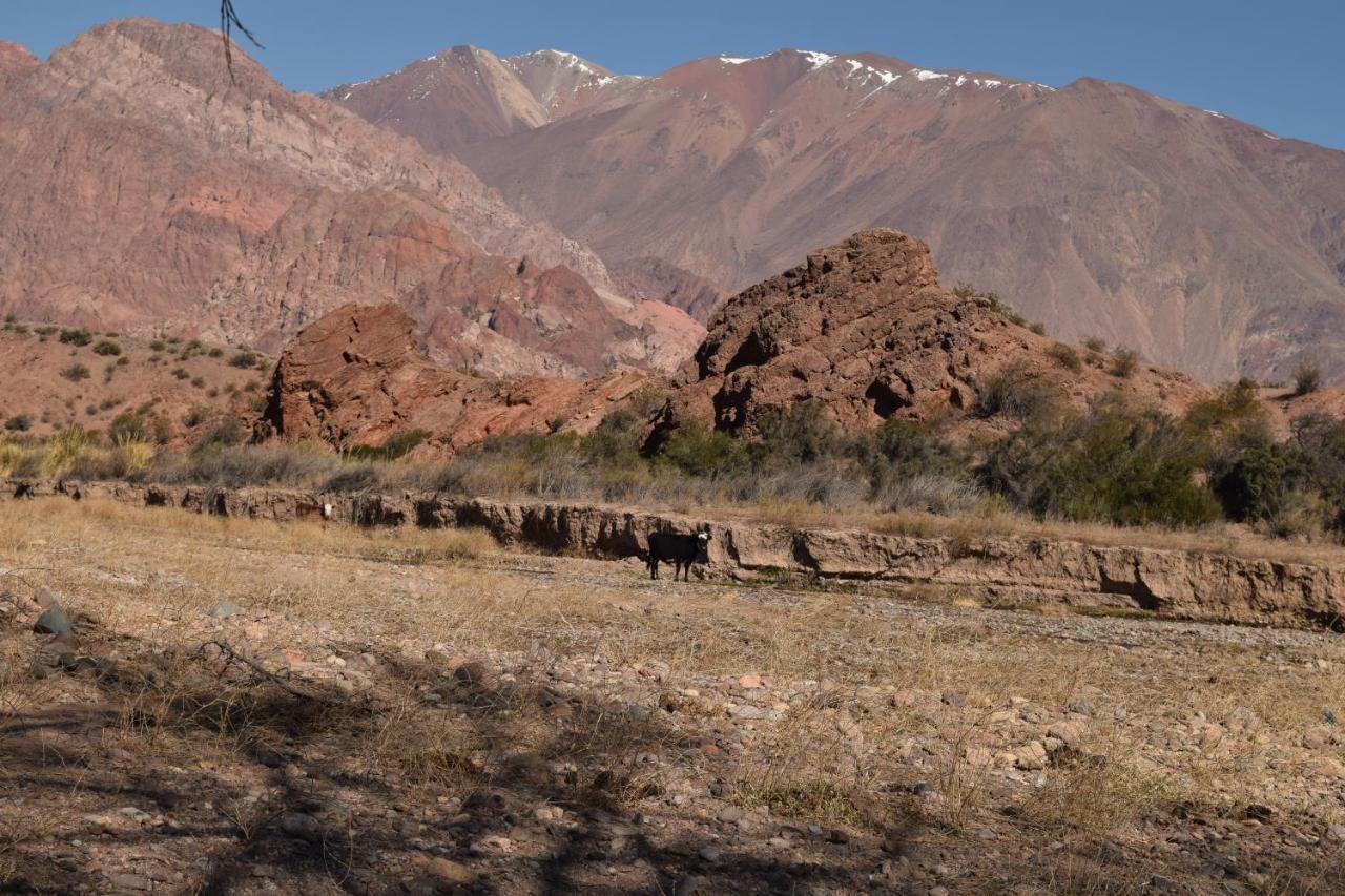 Cabanas De Los Andes Uspallata Dış mekan fotoğraf